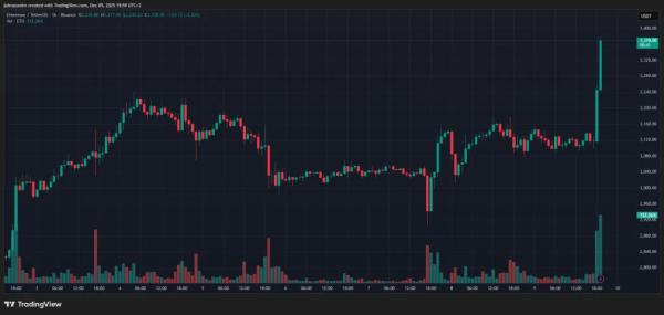 В Wintermute указали на «сужение» крипторынка до BTC и ETH В Wintermute указали на «сужение» крипторынка до BTC и ETH