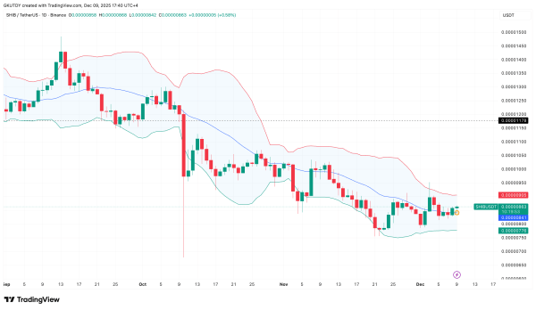 Цена Shiba Inu (SHIB) начинает вызывать опасения у «медведей» Цена Shiba Inu (SHIB) начинает вызывать опасения у «медведей»