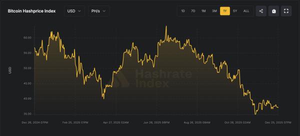 Bitmain резко снизила цены на&nbsp;ASIC‑майнеры на&nbsp;фоне кризиса в&nbsp;индустрии майнинга криптовалют