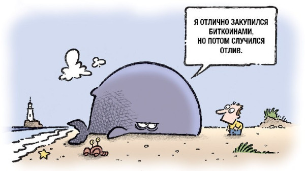 Накопление биткоина китами оказалось мифом &mdash; CryptoQuant