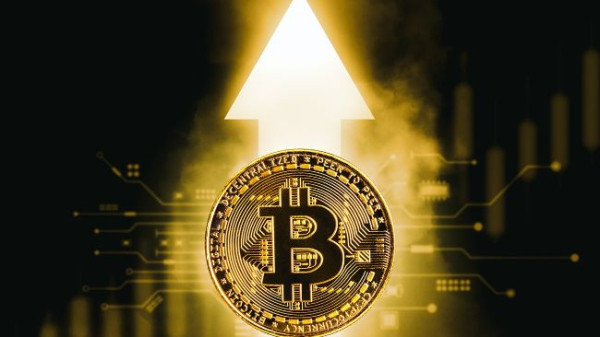 CEO Ark Invest: США начнут активно пополнять биткоин-резерв