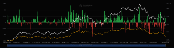 Тест $60 000 биткоином усилил темпы покупок китами до пика в этом цикле &mdash; CryptoQuant