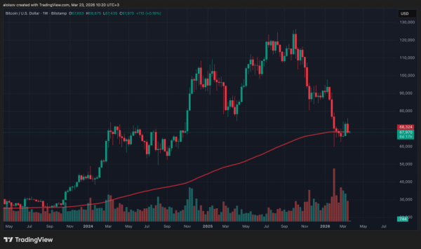 Биткоин снова упал ниже $68&nbsp;000: медвежий рынок продолжается