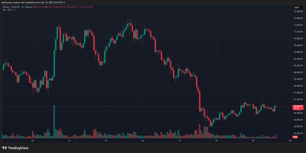 Итоги недели: биткоин ниже $67 000 и квантовая защита Ethereum Итоги недели: биткоин ниже $67 000 и квантовая защита Ethereum