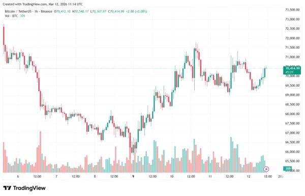 Трейдеры опционами поставили на рост биткоина до $80 000