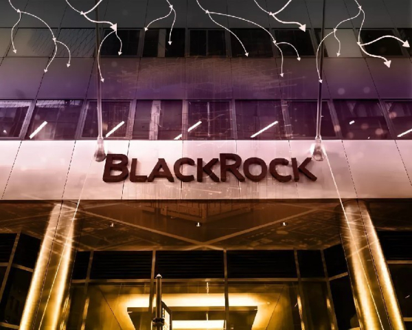 Топ-менеджер BlackRock назвал новые токены &laquo;бессмыслицей&raquo; и предрек индустрии слияние с ИИ