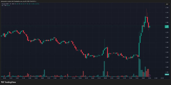 TON ускорился в 10 раз: транзакции стали мгновенными после обновления
