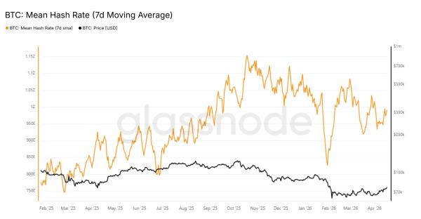 Сложность майнинга биткоина сократилась на 2,4%