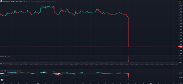 Memecoin, проект, привлекший внимание на криптовалютном рынке, потерял более 80% своей стоимости!
