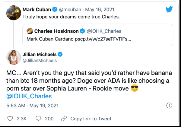 Джиллиан Майклс инвестировала в&nbsp;Cardano и&nbsp;Dogecoin