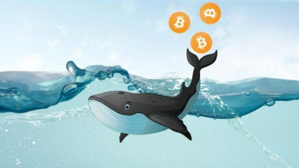 Киты накапливают биткоин на фоне рекордного давления продаж альткоинов